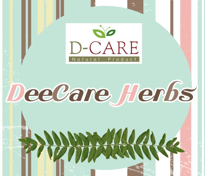 สบู่สมุนไพรดีแคร์ สินค้า OTOP จังหวัดเลย